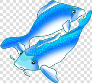 Colorful Koi Fish Drawings Picture Transparent Library   Swimming Blue Fish Gif  HD Png Download