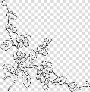 Of Flowers Transprent Free   Transparent Background Flower Line Art Png  Png Download