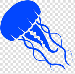 Jellyfish Clipart   Png Download  Transparent Png