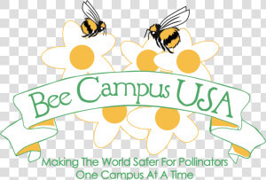 Bee Campus Usa  HD Png Download