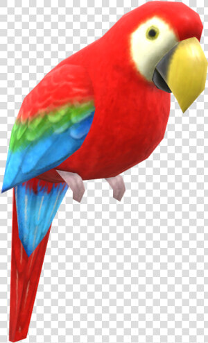 Download Zip Archive   Macaw  HD Png Download