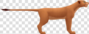 Download Zip Archive   Nala Lion King Kingdom Hearts  HD Png Download