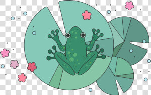 Frog True Frog    True Frog  HD Png Download