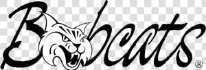 Transparent Bobcat Clipart   Illustration  HD Png Download