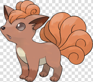 Torchic Png  Transparent Png