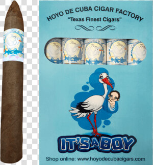 It S A Boy Torpedo Cigars Box   Cartoon  HD Png Download