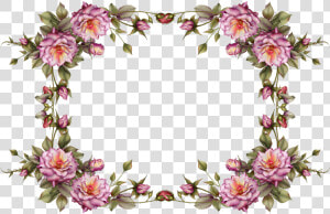 Flower Frame Clipart   Flower Frame No Background  HD Png Download