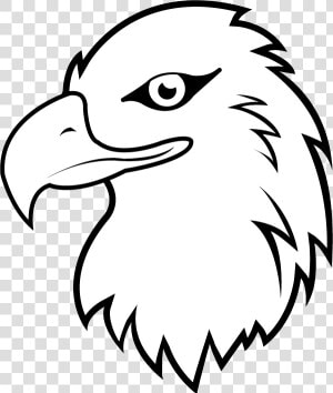 Transparent Eagle Clipart   Eagle Clipart Black And White  HD Png Download