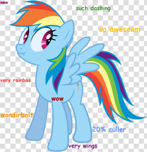 Dashie Doge     Cullen   What S With The Internet S  HD Png Download