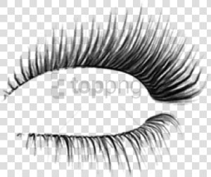 Transparent Background Eyelashes Png   Transparent   Transparent Background Eyelash Png  Png Download