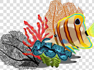 Tropical Fish Clipart Butterfly Fish   Tropical Fish Clip Art  HD Png Download