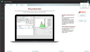 Pitch Decks Examples  HD Png Download