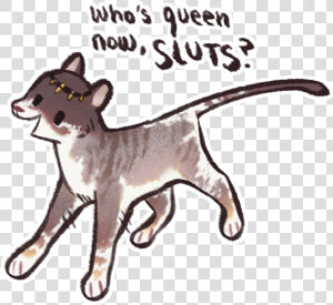 Cat Jumps  HD Png Download