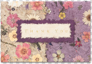 Mixed Garden Thank You Cards Image   Chrysanths  HD Png Download