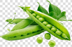Green Beans Png Download Image   Peas Rich In Protein  Transparent Png