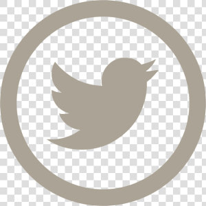 Social Media Logos Png Individual Hd Logo Free Unlimited   Twitter Icon Grey Png  Transparent Png