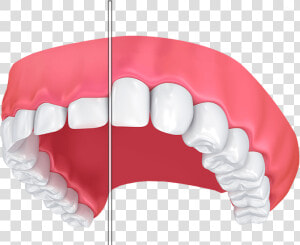 Dentistry  HD Png Download