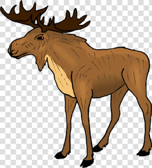 Moose Clipart Kid   Moose Clipart Png  Transparent Png