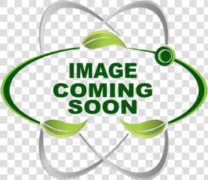 Transparent Canola Oil Clipart   South Park Coming Soon  HD Png Download