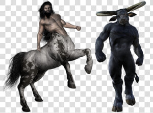 Centaur  Minotaur  Monster  Creature  Beast  Half human   Minotaur Centaur  HD Png Download