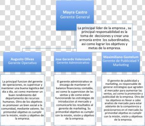 Organigrama   Descripcion De Un Organigrama  HD Png Download
