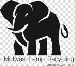 Elephants Png  Transparent Png