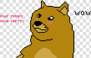 Slightly Derpy Doge  HD Png Download