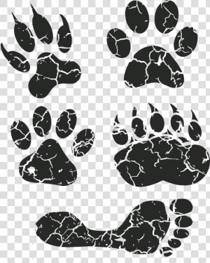 Paw Print  Paw  Foot Prints  Footprint  Animal Tracks   Animal Track  HD Png Download