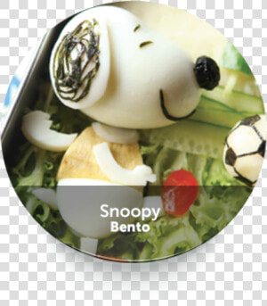 Roundbuttonfunbento 12   Diet Food  HD Png Download