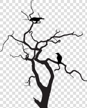 Dead Tree Clipart Birch   Creepy Tree Silhouette Png  Transparent Png