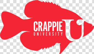 Crappie u   Illustration  HD Png Download