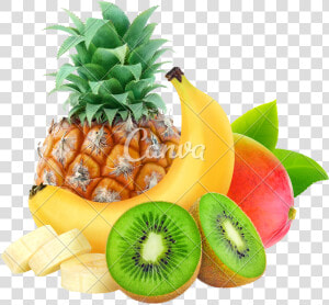 Tropical Fruits Png   Tropical Fruits T Shirt  Transparent Png