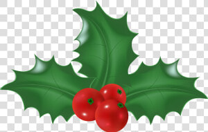 Mistletoe Clipart Holly  HD Png Download
