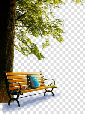 Landscape outdoor   Bench Wallpaper Hd Png  Transparent Png