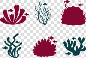 Transparent Coral Reef Fish Clipart   Coral Reef Vector Png  Png Download