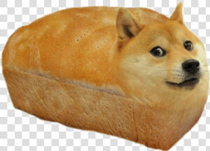 Dont Care Didnt Ask  HD Png Download