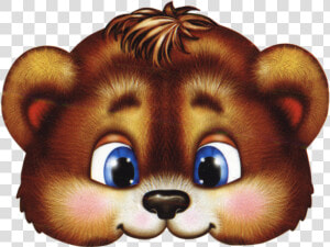 Transparent Masks Bear   Cartoon Bear Face Mask  HD Png Download