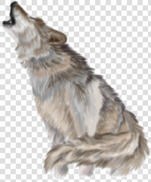 Download Wolf Png Pic   Transparent Background Wolf Png  Png Download