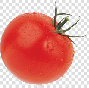 Tomato Png Free Download   Produce Png Tomato  Transparent Png
