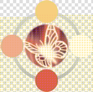 Imagen1   Circle  HD Png Download