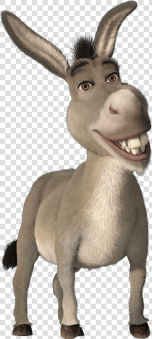 Donkey Transparent   Donkey From Shrek  HD Png Download