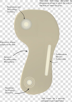 Features   Mouse  HD Png Download