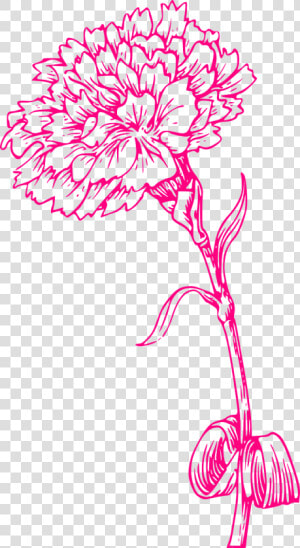 Pink Carnation Clip Art  HD Png Download