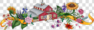 Farm Clipart Farm House   African Daisy  HD Png Download