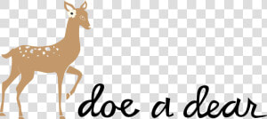 Doe A Dear  HD Png Download