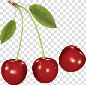 Cherries Png Image   Cherry Png  Transparent Png