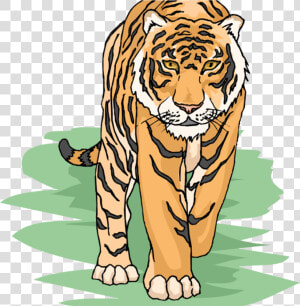 Free Tiger Clipart Cool   Tiger Clipart  HD Png Download