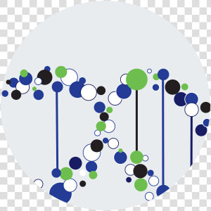 Pharmacology Clip Art Free  HD Png Download
