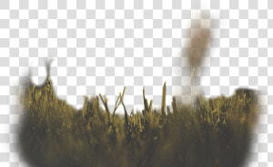 Software • Safe • Reliable   Close up  HD Png Download