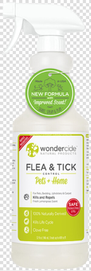 Flea Png  Transparent Png